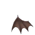 Bat wings ໒꒱  social • gaming  • ᵒᵍ
