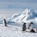 Antarctica (Timland)