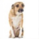 boob.fm Discord server icon