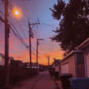 the snakes and the people they bite