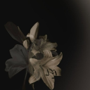 𝙻 𝚘 𝚜 𝚝  𝚂 𝚘 𝚞 𝚕 𝚜  [ 𝙰 𝚙 𝚘 𝚌 𝚊 𝚕 𝚢 𝚙 𝚜 𝚎  𝚁 𝙿  1 8 + ] Discord server icon