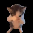 discord kitten adoption center