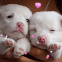 friendcity ^_^ ♡ Discord server icon