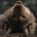 The Den Discord server icon