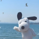 august at the shore 𝄞 Discord server icon