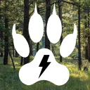 ⚡ Wandering Storm - Arizonan Therian Community
