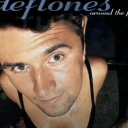 RealMonsters Discord server icon