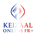 Keizaal Online FR icon