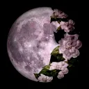Server icon