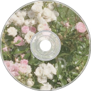 🌼 나만의 은신처 Discord server icon