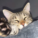 Basement Discord server icon