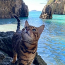 ✩  ﹕ The Ocean’s Prophecy 𓂃 🌊 Discord server icon