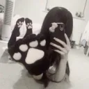 E-KITTEN discord icon