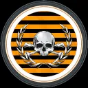 WASP Volunteer Force