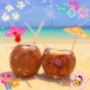 Tropical Getaway ᯓ🌸