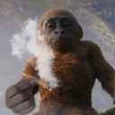 boofmonkey #2k26#2k26#2k26 Discord server icon