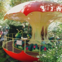ladybug  play—place  🎢