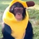 {16+} Tutti Frutti || Artists 🍌 Discord server icon