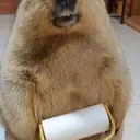 liq6's Minecraft Plugins