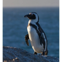 女性限定　エロ Discord server icon