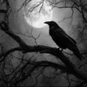 The Midnight Quill