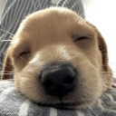 Venom SMP Discord server icon