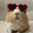 Voyage Realms Discord server icon