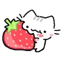 Berry Bunch🍓