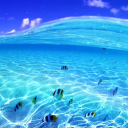 Limitless Aero Discord server icon