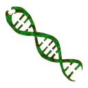 🐍Medusa Seed World