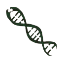 🐍Medusa Seed World