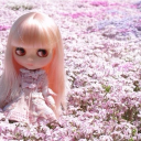 The Secret Order Discord server icon