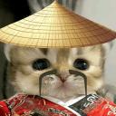 china cat community (MAIN)