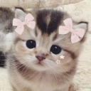 ★彡 Kitty Safe Space 彡★ Discord server icon