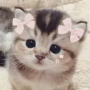 ★彡 Kitty Safe Space 彡★