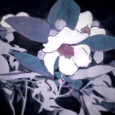 Evershone Island Discord server icon