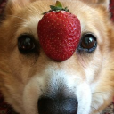 Vermilion (21+) Discord server icon