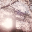 lf minecraft moderators Discord server icon