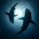 Shark Bait Discord server icon