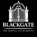 ◞　༒     𝕭𝐥𝐚𝐜𝐤𝓖𝐚𝐭𝐞 Discord server icon