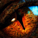 Dragons Den Discord server icon