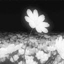 𝚆𝚒𝚝𝚑𝚎𝚛𝚎𝚍 𝚅𝚎𝚒𝚕 Discord server icon