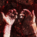 THE SHELTER. [ IDV AU ] Discord server icon