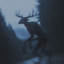 𝄞　cryptid cave 𓏻
