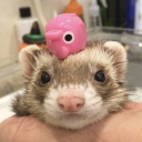 ﹕◞l'amour Discord server icon