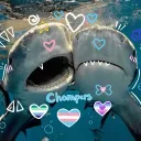 trans chompers Discord server icon