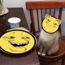 Catgirls fanclub😒 Discord server icon