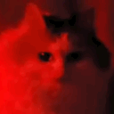 RED Discord server icon