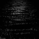 Blackout Promo Discord server icon