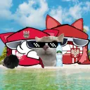 Server icon